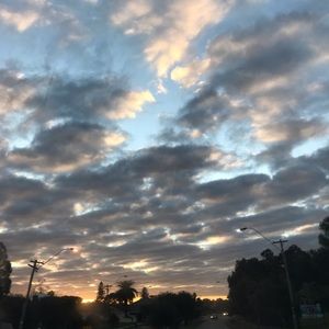 Meet your Posher, Jessie